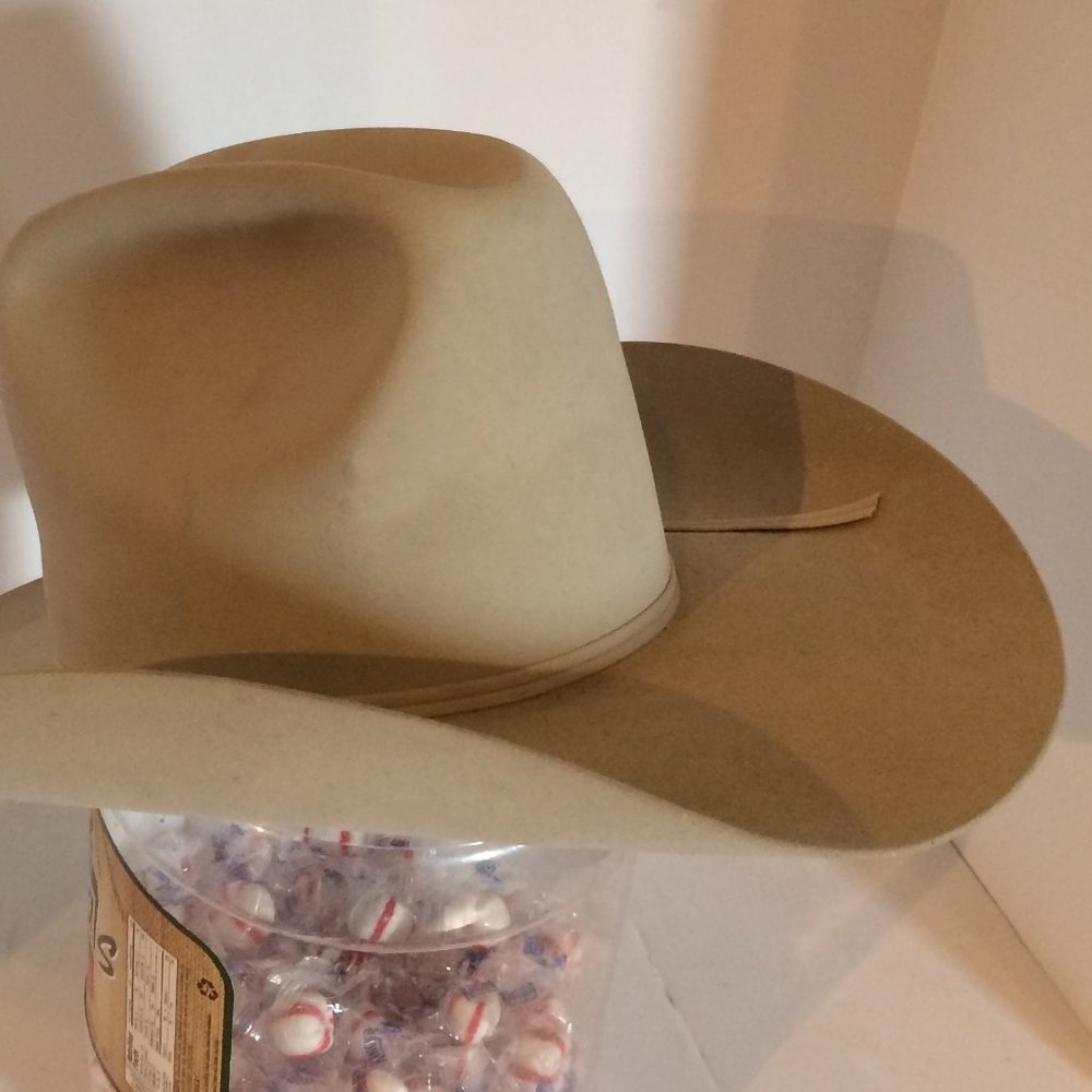 Resistol 15X Beaver Diamond Horseshoe Cowboy Hat